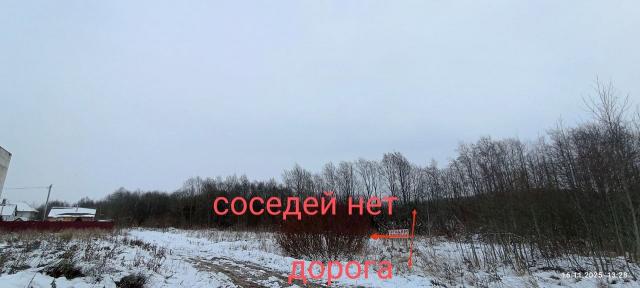 Ленинградская область, Горная Шальдиха дер., Березовая ул., 41