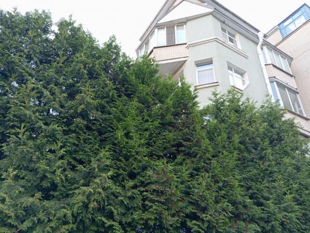 Глухарская ул., 19