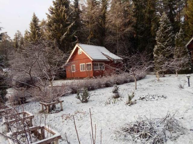 Ленинградская область, Мичуринское пос., Парковая аллея, 13