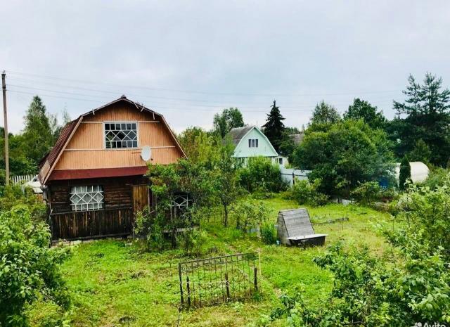 Ленинградская область, Трубников Бор массив, Зодчий СНТ, 198