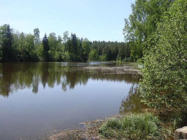 Ленинградская область, Толмачево пос.