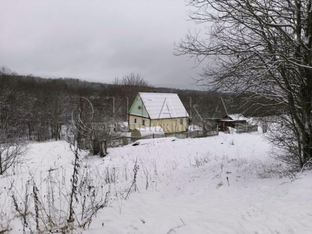 д. Большой Двор (Самойловское с/п)