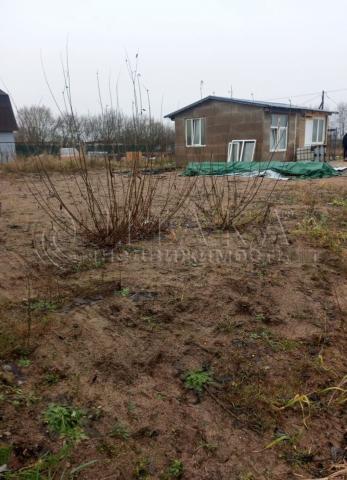 д. Большой Луцк