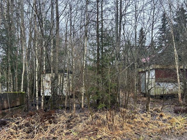 Ленинградская область, Фауна-1 СНТ, 849