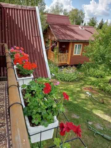 Ленинградская область, Красницы массив