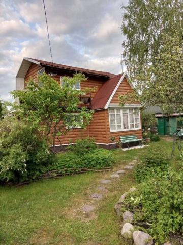 Ленинградская область, Красницы массив