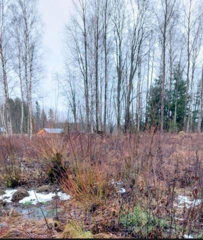 Ленинградская область, Горы пос.