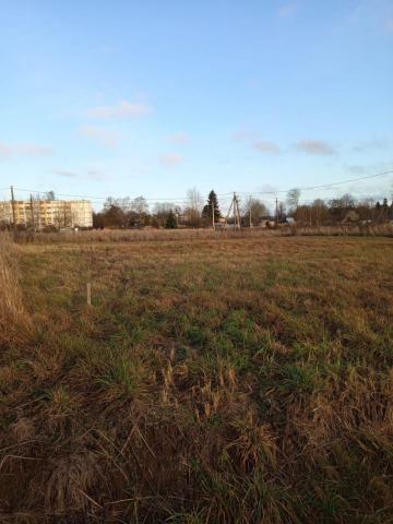 Ленинградская область, Суйда пос.