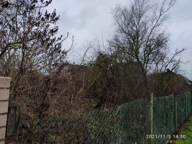 Ленинградская область, Воскресенское с., Центральная ул.