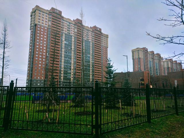 Парголово, Толубеевский прд., 24