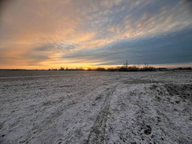 Ленинградская область, Аннино пос.