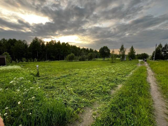 Ленинградская область, Нурма пос.