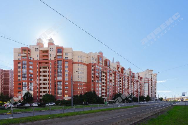 Савушкина ул., 138
