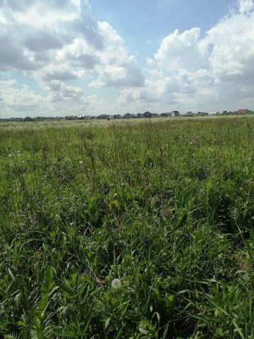 Ленинградская область, Ильино дер.