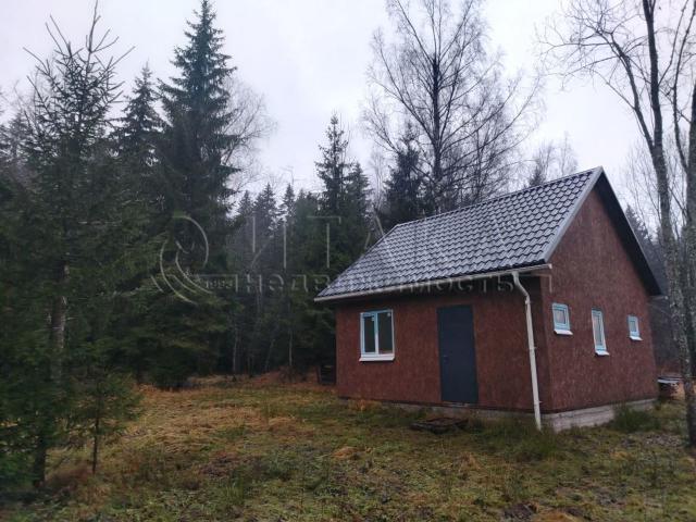 д. Островенка