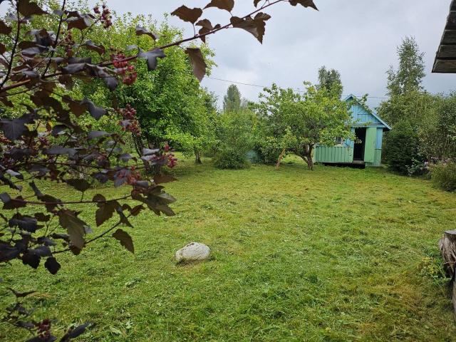 Ленинградская область, Назия массив, Омега СНТ