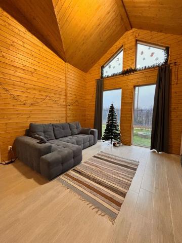 Ленинградская область, Лопухинское сельское поселение