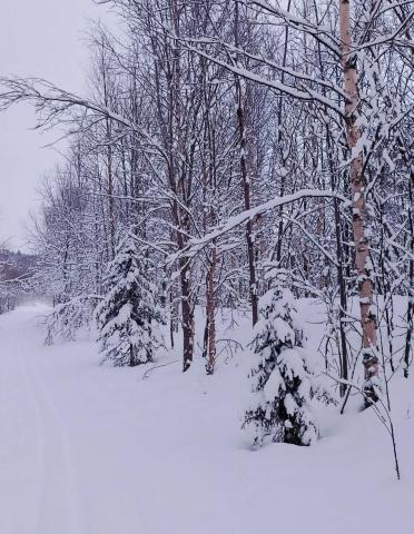 Ленинградская область, Громово пос.