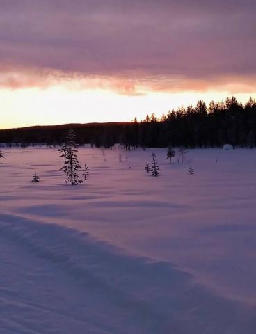Ленинградская область, Громово пос.