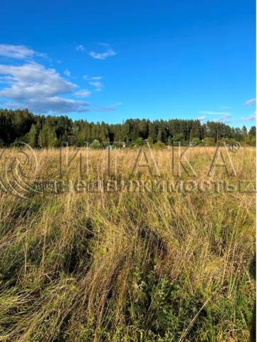 мкр. Селезнево