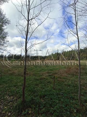 гп. Лесогорский