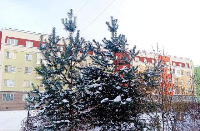 Юнтоловский пр., 51 к. 3