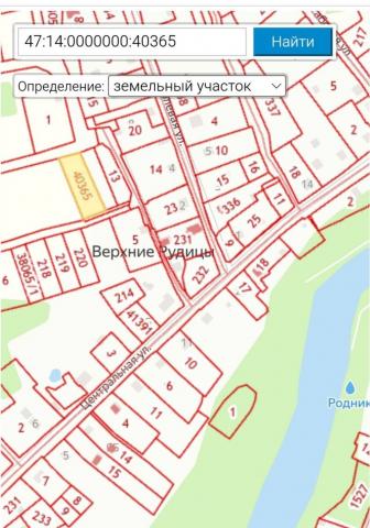 Ленинградская область, Верхние Рудицы д.