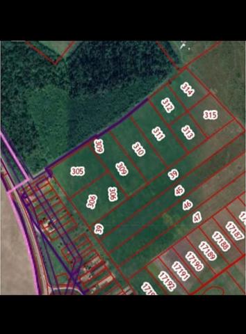 Ленинградская область, Новые Раглицы дер.