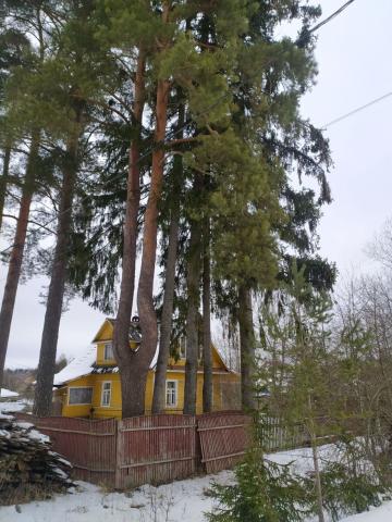 Ленинградская область, Вырица городской посёлок, Мельничный пр.