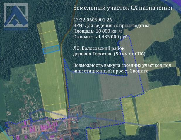 Ленинградская область, Торосово пос.