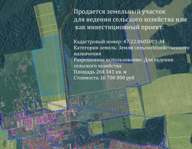 Ленинградская область, Торосово пос.