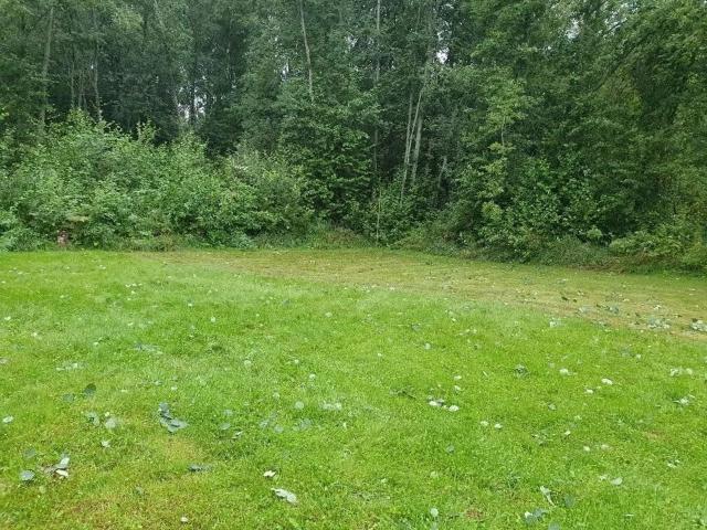 Ленинградская область, Силино дер.