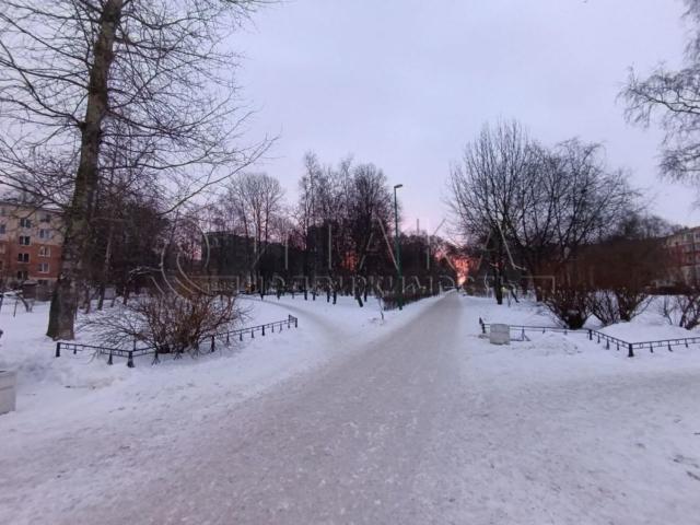 пр-кт. Дачный, 9к6