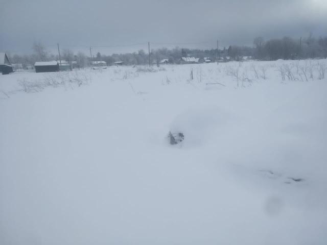 Ленинградская область, Верхние Рудицы д.