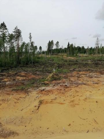 Ленинградская область, Агалатовское сельское поселение, У Лукоморья СНТ, 8