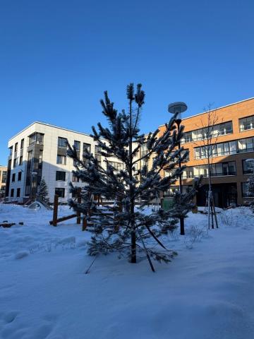 Колпинское ш. (Славянка), 125