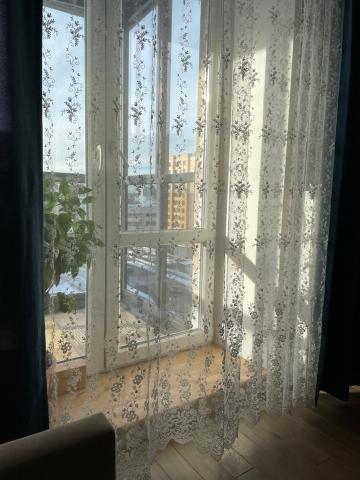 Новоселье городской поселок, Невская улица, 1