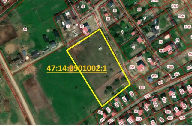 деревня Рапполово