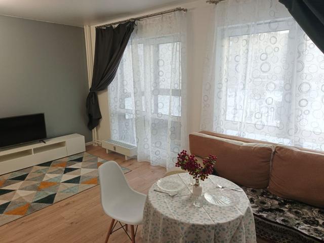 Ленинградская область, Новое Девяткино дер., Главная ул., 8