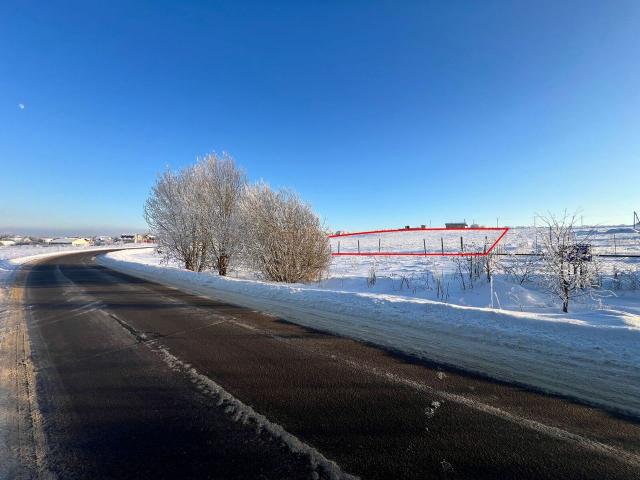 Ленинградская область, Капорское дер.