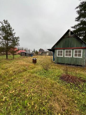 Ленинградская область, Бабино массив, 312