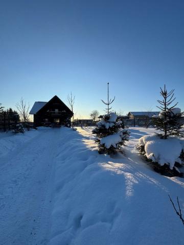 Ленинградская область, Котельниково дер., 17а