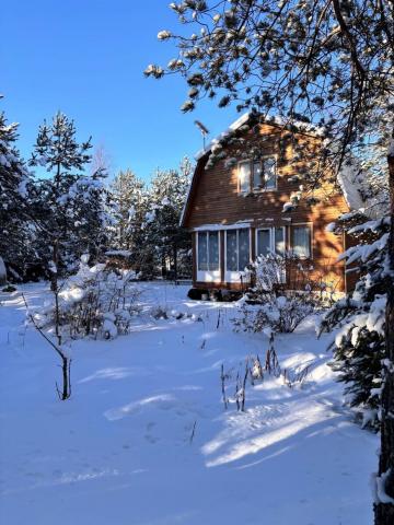 Ленинградская область, Контур СНТ