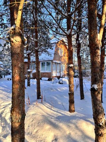 Ленинградская область, Контур СНТ