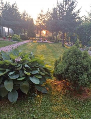 Кобонская ул., 35