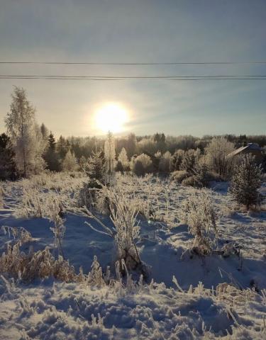 Ленинградская область, Смердыня урочище, 78/2