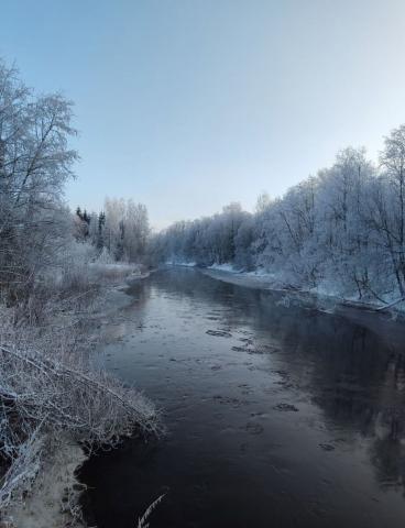 Ленинградская область, Смердыня урочище, 78/3