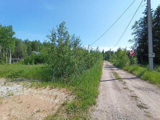 Ленинградская область, Родничок СНТ