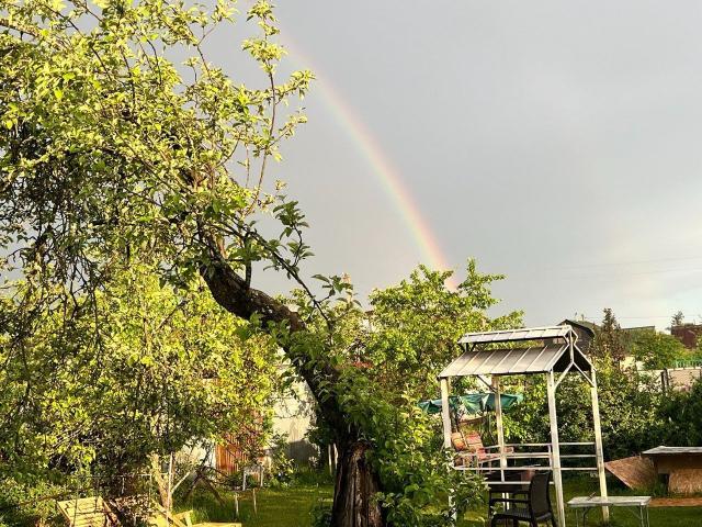 Ленинградская область, Кусино массив, Мичуринец СНТ, 47