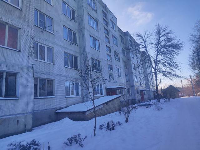 Ленинградская область, Большой Сабск дер., 11